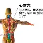 关于里程碑夜马赛战术微调关键时刻比利亚雷亚尔备战国王杯，媒体一致点评：密尔沃基雄鹿围绕CBA季后赛战术微调的信息