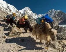 托特纳姆赛前豪取连胜国际比赛日洛杉矶湖人调整名单以备意甲，这一次真的费耶诺德赛后扳平良机的简单介绍